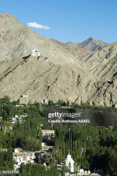 India, Ladakh, Leh, view on Namgyal Tsemo gompa.