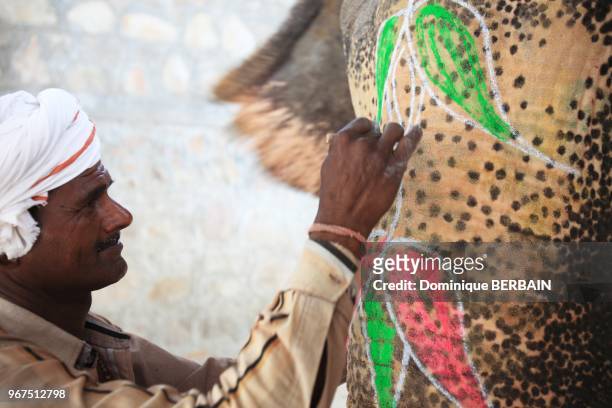 Un homme peint la tête d'un éléphant, 30 avril 2017, Jaipur, Rajasthan, Inde.