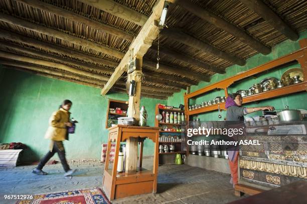 India, Ladakh, Markha Valley, woman working in the kitchen.