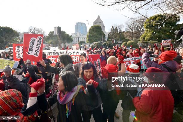 Plus de 5000 femmes formant une chaine humaine ont manifesté autour de la 'Diète' le 17 janvier 2015 contre la réinterprétation de la Constitution...