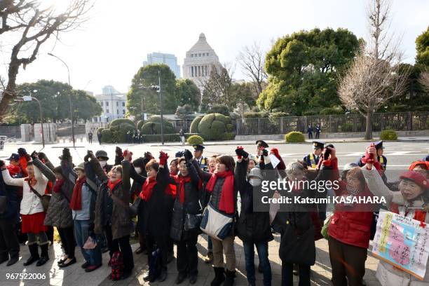 Plus de 5000 femmes formant une chaine humaine ont manifesté autour de la 'Diète' le 17 janvier 2015 contre la réinterprétation de la Constitution...