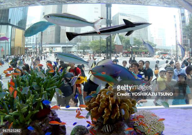 Visiteurs regardant quelques 500 poissons tropicaux dans un grand aquarium dans le bâtiment de la société 'Sony' le 17 juillet 2016 dans le quartier...