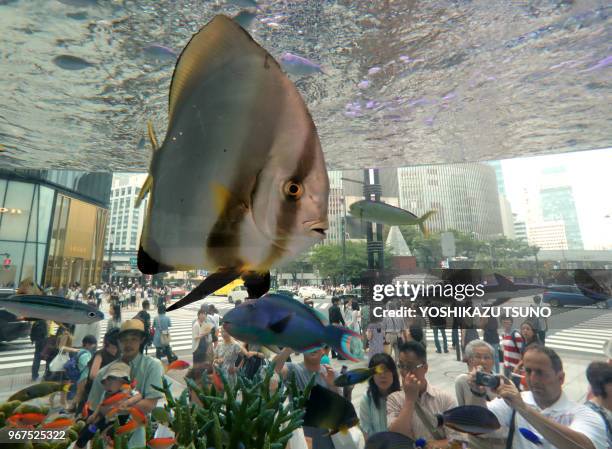 Visiteurs regardant quelques 500 poissons tropicaux dans un grand aquarium dans le bâtiment de la société 'Sony' le 17 juillet 2016 dans le quartier...