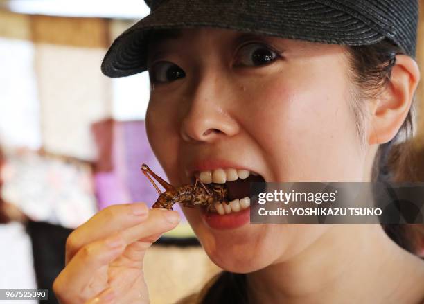 Cook Insect 439 Insect Circus Stock Photos, High-Res Pictures, and Images - Getty ...