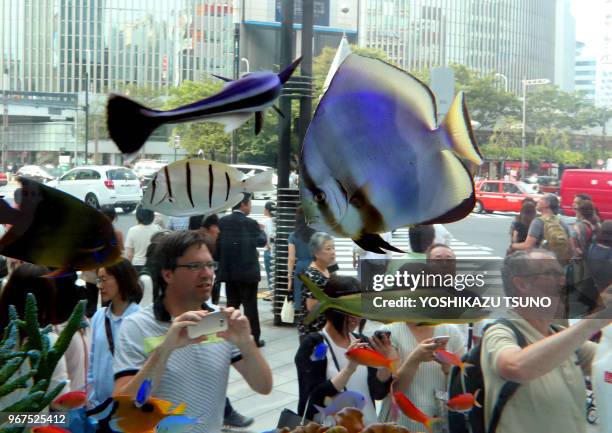 Visiteurs regardant quelques 500 poissons tropicaux dans un grand aquarium dans le bâtiment de la société 'Sony' le 17 juillet 2016 dans le quartier...