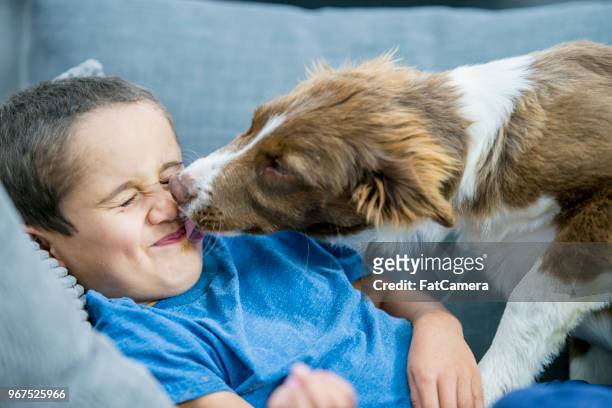 dog licking boy's face - dog licking stock pictures, royalty-free photos & images