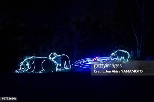 Décorations de Noël représentant des ours dans un zoo le 16 décembre 2014 à Denver, Colorado, Etats-Unis.
