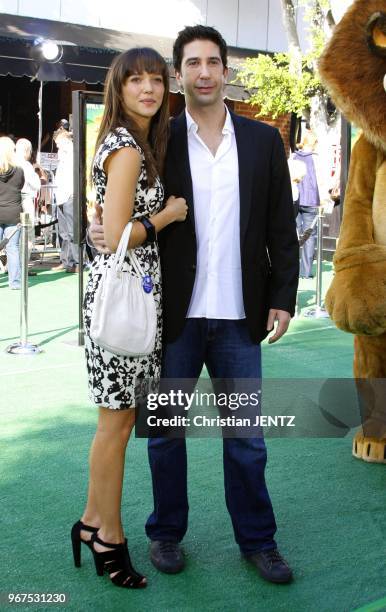 Westwood - David Schwimmer at the Los Angeles Premiere of "Madagascar: Escape 2 Africa" held at the Mann Village Theater in Westwood, California,...