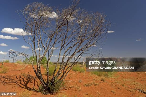 Uluru, also known as Ayers Rock, is a large sandstone rock formation in the southern part of the Northern Territory, central Australia. It lies 335...