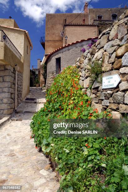 Village de Lumio en Balagne au printempsmoi de mai.