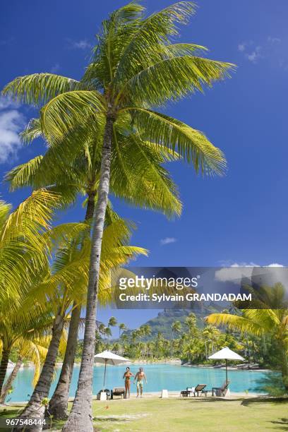 French Polynesia, Leeward archipelago, Bora Bora island, Luxury Hotel resort Saint-Regis // Polynesie Francaise, archipel des iles sous le vent, Bora...