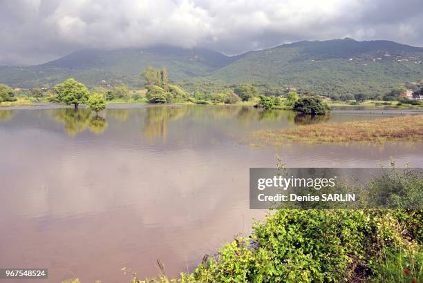 Baraci Photos and Premium High Res Pictures - Getty Images