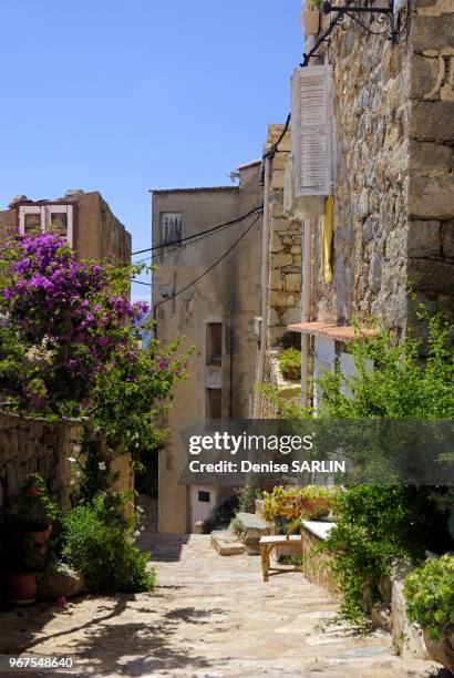 Une rue du village de Lumio en Balagne au moi de mai.