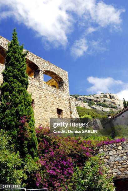 Cypres et bougainvillee en fleur dans village de Lumio en Balagne au moi de mai.