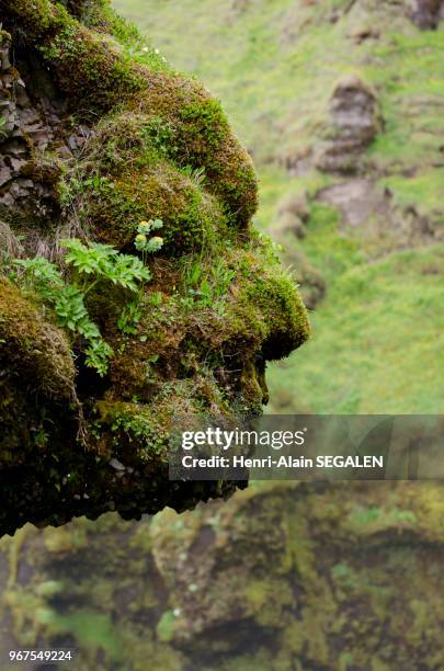 Rocher en forme de tête, face à la cascade Skogafoss, dans la région du Sudurland en Islande.