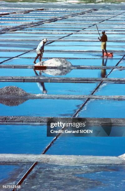 Brésil, état de Rio de Janeiro, Cabo Frio, récolte du sel//Brazil, state of Rio de Janeiro, Cabo Frio, salt harvest, circa 1980.