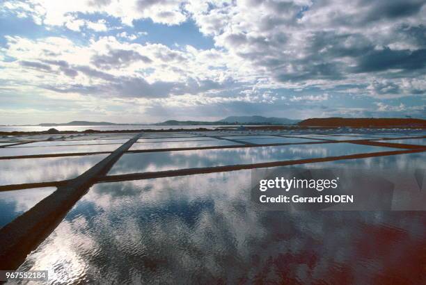 Brésil, état de Rio de Janeiro, Cabo Frio, salins inondés//Brazil, State of Rio de Janeiro, Cabo Frio, flooded saline, circa 1980.