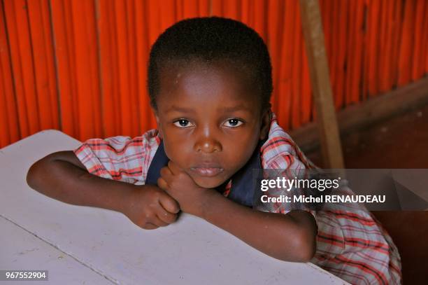 Madagascar, Nosy Be area, Island of Nosy Ambariovato , Mozambique Channel, near the village Tsara Komba Lodge involved in its development .