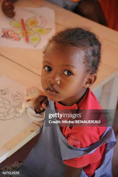 Madagascar, Nosy Be area, Island of Nosy Ambariovato , Mozambique Channel, near the village Tsara Komba Lodge involved in its development .