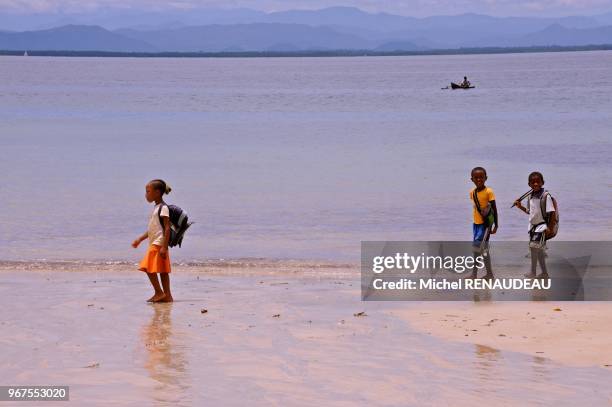 Madagascar, Nosy Be area, Island of Nosy Ambariovato , Mozambique Channel, near the village Tsara Komba Lodge involved in its development .