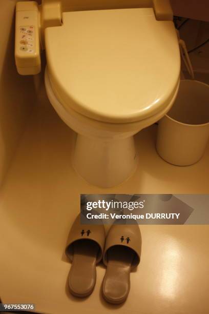 Toilettes japonaises.