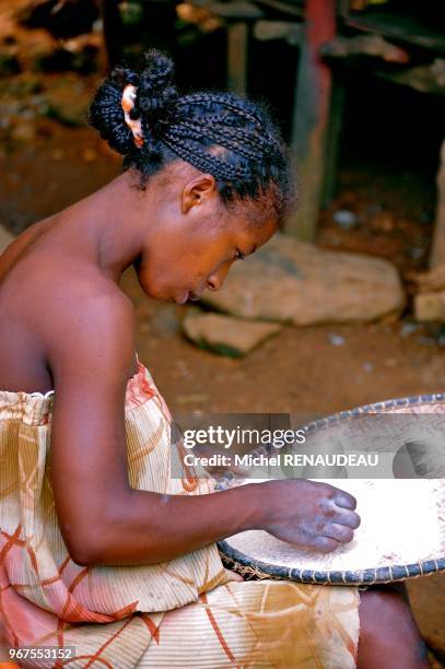 Madagascar, Nosy Be area, Island of Nosy Ambariovato , Mozambique Channel, near the village Tsara Komba Lodge involved in its development .