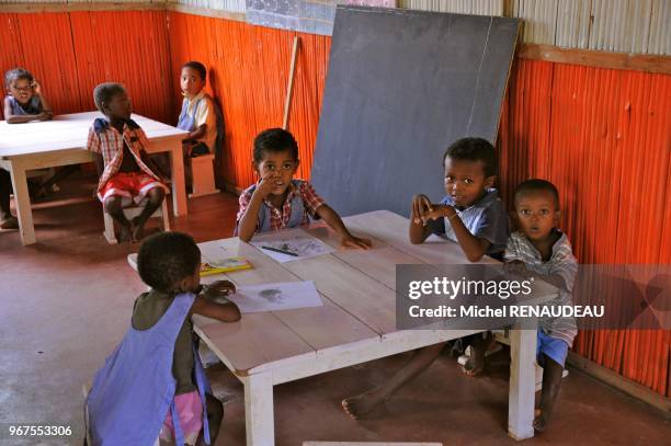 Madagascar, Nosy Be area, Island of Nosy Ambariovato , Mozambique Channel, near the village Tsara Komba Lodge involved in its development .