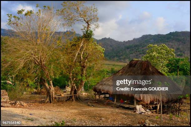 Habitation dans les environs de Lapopu à Sumba, 21 octobre 2014, Indonésie.