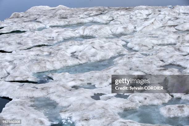 Federation de Russie, Province autonome de Chukotka, ile de Wrangel, Banquise. Russia, Chukotka autonomous district, Wrangel island, Pack ice.