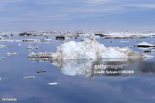 Russia, Chukotka autonomous district, Wrangel island, Pack ice.