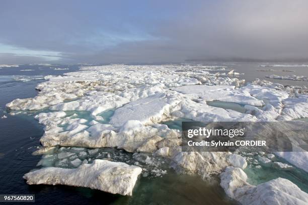 Federation de Russie, Province autonome de Chukotka, ile de Herald, , banquise. Russia, Chukotka autonomous district, Herald island north east of...