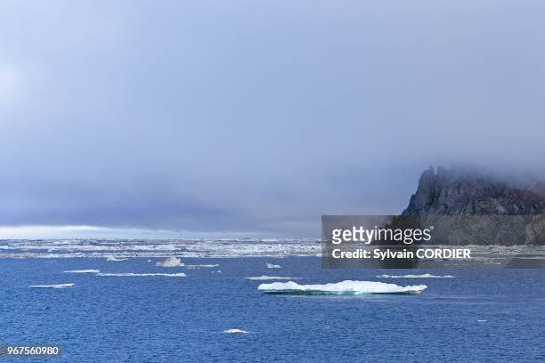 Federation de Russie, Province autonome de Chukotka, ile de Wrangel, Banquise. Russia, Chukotka autonomous district, Wrangel island, Pack ice.