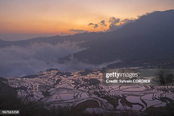 Chine, province du Yunnan, ethnie des Hani, Yuanyang, village de Duoyishu, rizieres en terrasses, lever de soleil. China, Yunnan province, Hani...