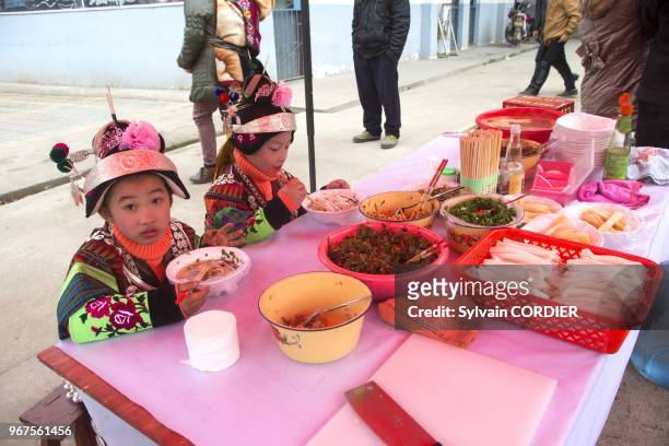 Chine, province du Guizhou, ville de Yatang, festival des green Miao au son des lusheng . China, Guizhou province, Yatang town, Green Miao Lusheng...