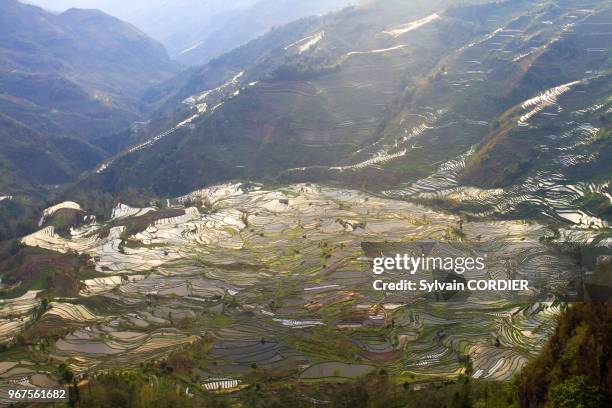 Chine, province du Yunnan, ethnie des Hani, Yuanyang, coucher de soleil a Laohuzui, rizieres en terrasses. China, Yunnan province, Hani people,...