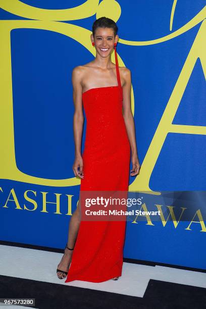 Dilone attends the 2018 CFDA Fashion Awards at Brooklyn Museum on June 4, 2018 in New York City.