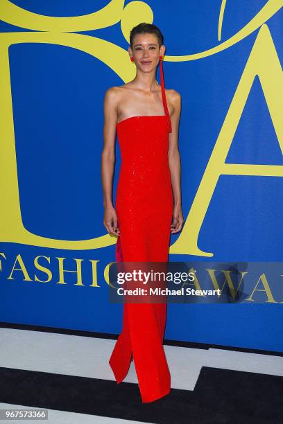 Dilone attends the 2018 CFDA Fashion Awards at Brooklyn Museum on June 4, 2018 in New York City.