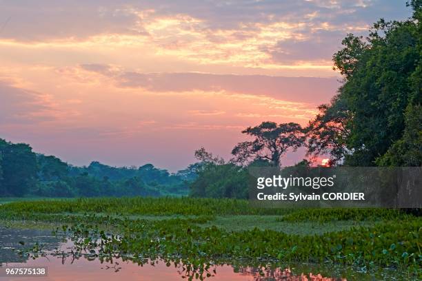 Amérique du Sud, Brésil, Mato Grosso, région du Pantanal, fleuve Rio Cuiaba, Black channel, lever de soleil.