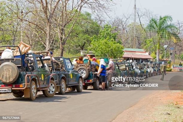 Asie, Inde, Maharashtra, Réserve de Tadoba Andhari, Parc national de Tadoba, safari à bord de jeep à la recherche du tigre du Bengale .