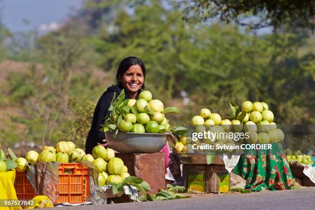 Rajasthan, Rathambore, vente de goyaves le long de la route.