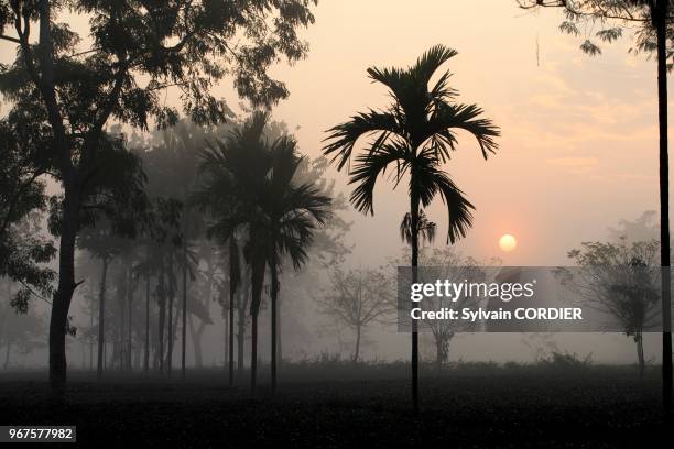 Inde, Tripura, Gumti, Sanctuaire de la vie sauvage, lever de soleil;.