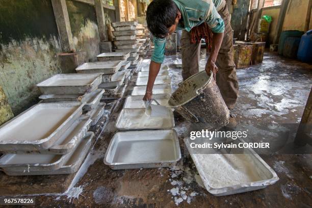 Inde, Tripura, récupération du latex issu des hévéas, fabrication de feuilles de caoutchouc issues du latex. India,Tripura state, harvesting latex...