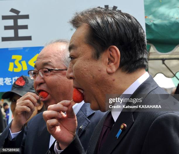 Japan's prime minister Yoshihiko Noda, right, tastes a strawberry which was produced in Fukushima prefecture damaged by the nuclear disaster that was...