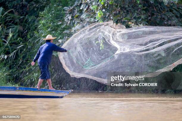 Asie, Bornéo, Malaisie, Sabah, rivière Kinabatangan, Pêcheur lançant un filet de pêche appelé épervier.