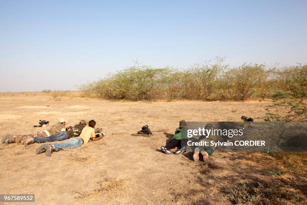 Inde, Gujarat, Little Rann of Kutch, Sanctuaire pour les ânes sauvages, affût au renard du désert indien , jeunes au terrier. India, Gujarat, Little...