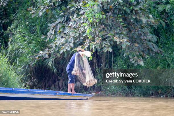 Asie, Bornéo, Malaisie, Sabah, rivière Kinabatangan, Pêcheur lançant un filet de pêche appelé épervier.