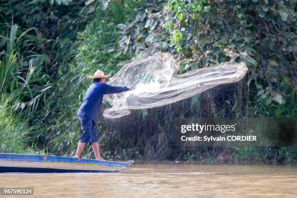 Asie, Bornéo, Malaisie, Sabah, rivière Kinabatangan, Pêcheur lançant un filet de pêche appelé épervier.