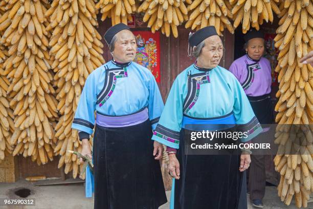 Chine, province du Guizhou, village de Zhouguan, femme, ethnie des Hans,mais pendus autour de la porte d'entree. China,Guizhou province, Zhouguan...