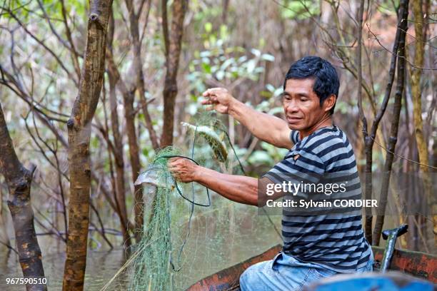 Amérique du Sud, Brésil,état d'Amazonas, bassin du fleuve Amazone, indien Apurina, pêcheur sur son canot, relève son filet.