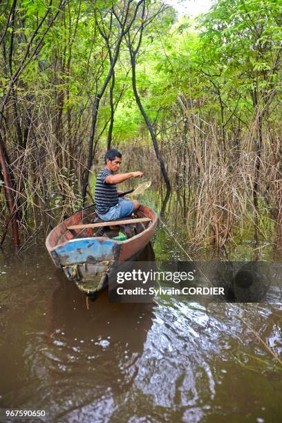 Amérique du Sud, Brésil,état d'Amazonas, bassin du fleuve Amazone, indien Apurina, pêcheur sur son canot allant relever son filet de pêche.
